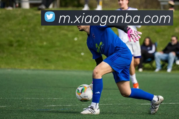 nba投注网站平台生态图