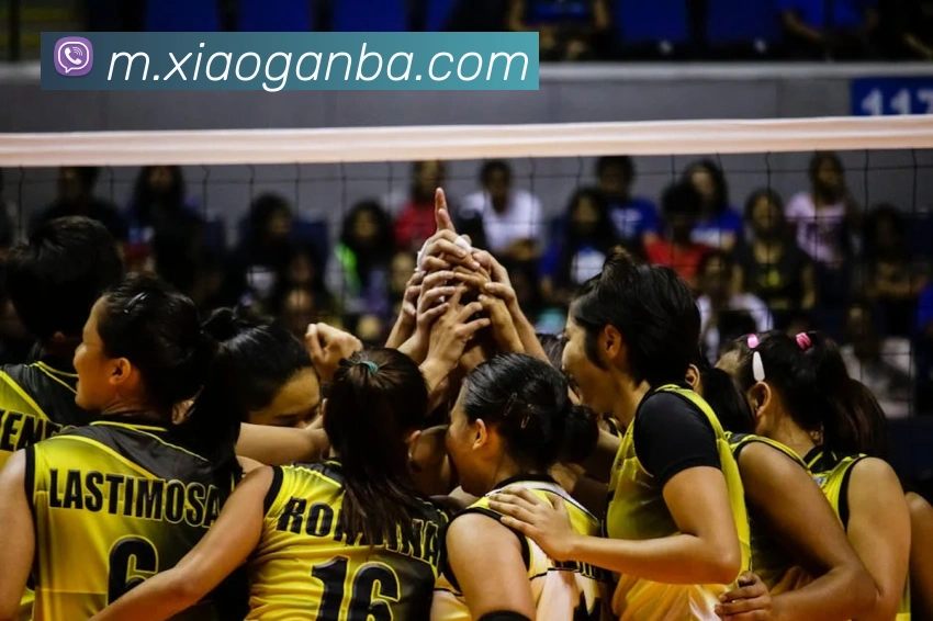 nba投注网站APP 封面图